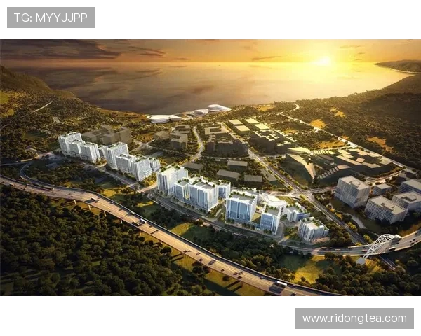 凯发ag旗舰厅首页：全面解析平台优势与安全保障措施