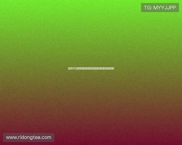 九游MG电游最新攻略全面解析助你轻松掌握游戏技巧提升战斗力