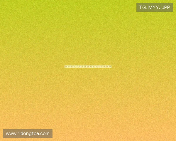 足球外围玩法新手入门指南:掌握世界杯期间的热门投注方式与注意事项 足球外围玩法新手入门指南:掌握世界杯期间的热门投注方式与注意事项